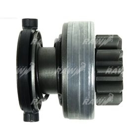 ΓΡΑΝΑΖΙ  RAW  1006209695  ΕΦΑΡΜΟΓΗ  BOSCH