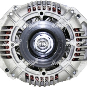 ΔΥΝΑΜΟ  RAW  A13VI21