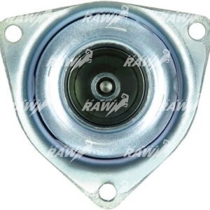 ΜΠΟΥΤΟΝ  ΜΙΖΑΣ  RAW   231926  ΕΦΑΡΜΟΓΗ  DELCO