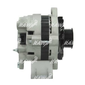 ΔΥΝΑΜΟ  RAW  1101266