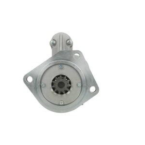 ΜΙΖΑ  RAW  S13118