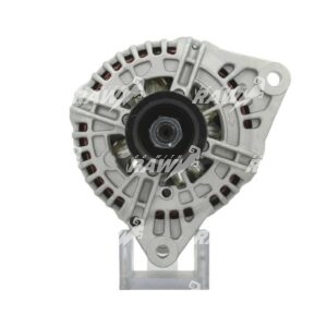 ΔΥΝΑΜΟ  RAW  0124655065  PRO