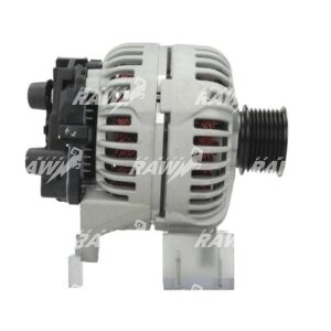 ΔΥΝΑΜΟ  RAW  0124655065  PRO