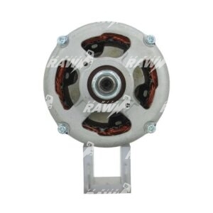 ΔΥΝΑΜΟ  RAW   A13N272