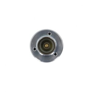 ΜΠΟΥΤΟΝ  ΜΙΖΑΣ  RAW   133424  ΕΦΑΡΜΟΓΗ  BOSCH