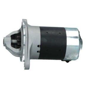ΜΙΖΑ  RAW  S114656