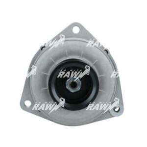 ΔΥΝΑΜΟ  RAW  0120468143  PRO