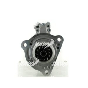 MIZA  RAW  M9T70279