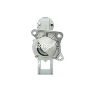 MIZA  RAW  D7E22
