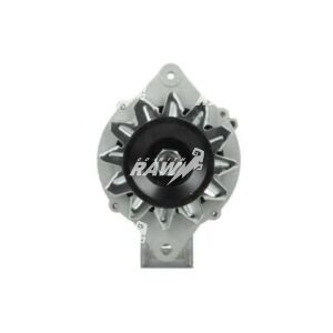 ΔΥΝΑΜΟ  RAW  LR170407