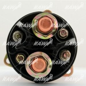 ΜΠΟΥΤΟΝ  ΜΙΖΑΣ  RAW   234476  ΕΦΑΡΜΟΓΗ DELCO  REMY