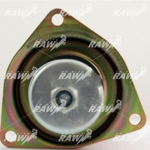 ΜΠΟΥΤΟΝ  ΜΙΖΑΣ  RAW   234476  ΕΦΑΡΜΟΓΗ DELCO  REMY