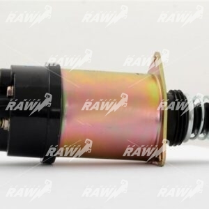 ΜΠΟΥΤΟΝ  ΜΙΖΑΣ  RAW   234476  ΕΦΑΡΜΟΓΗ DELCO  REMY