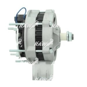 ΔΥΝΑΜΟ  RAW  A13N281