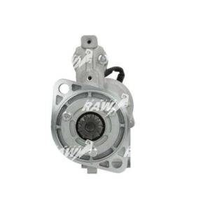MIZA  RAW  S13289