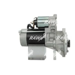 MIZA  RAW  S13289