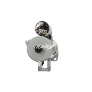MIZA  RAW  0001231017