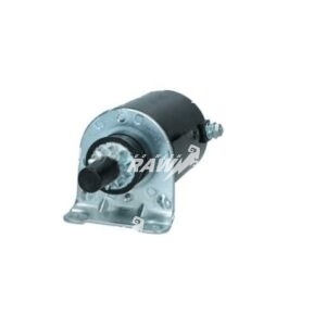 MIZA  RAW   MIA11564