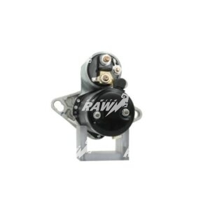 MIZA  RAW  D6RA67