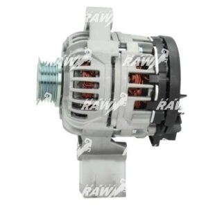 ΔΥΝΑΜΟ  RAW  0124225058  PRO