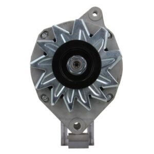 ΔΥΝΑΜΟ  RAW  A13N204