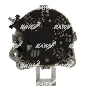 ΔΥΝΑΜΟ RAW  0125812009  PRO