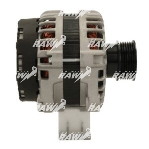 ΔΥΝΑΜΟ RAW  0125812009  PRO