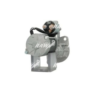 MIZA  RAW  S13107