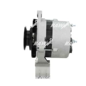 ΔΥΝΑΜΟ RAW   AL28516