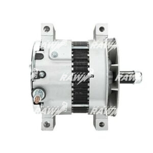 ΔΥΝΑΜΟ  RAW  101211-8401