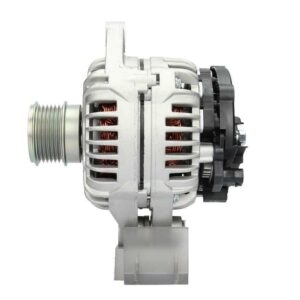 ΔΥΝΑΜΟ  RAW  0124425059  PRO