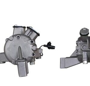 AIR  COMPRESSOR  ΣΥΣΤΗΜΑ  ΚΛΙΜΑΤΙΣΜΟΥ   RAW  9520052R00