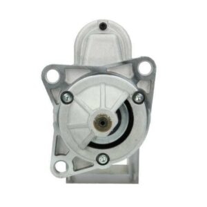 ΜΙΖΑ  RAW  455839