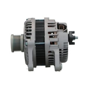 ΔΥΝΑΜΟ  RAW  A2TJ1981