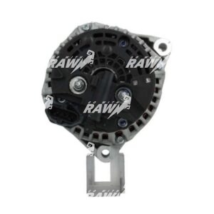 ΔΥΝΑΜΟ  RAW  0124655093  PRO